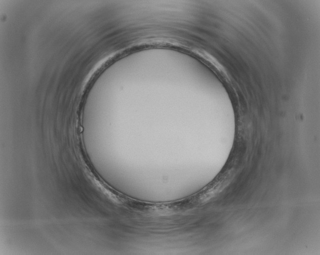 X0000076250799200610191647