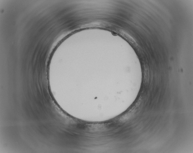 X0000076250800200610191647