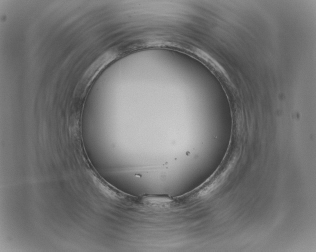 X0000076250801200610191647