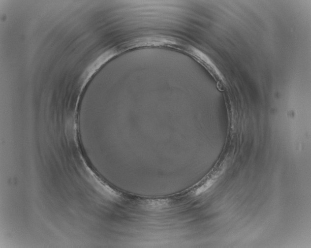 X0000076250802200610191647