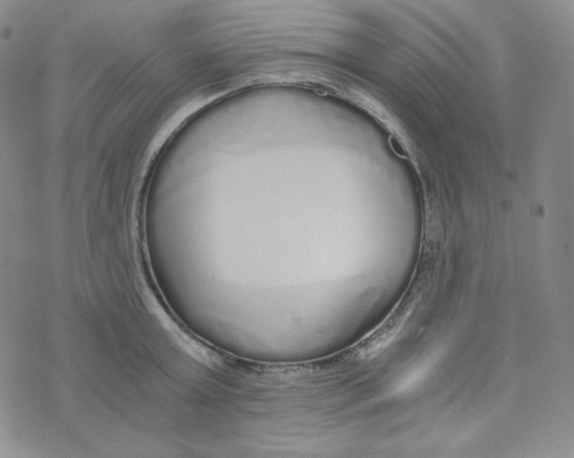 X0000076250803200610191647