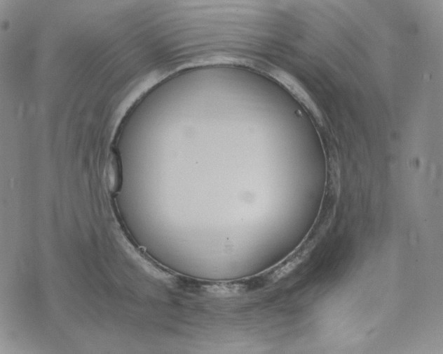 X0000076250805200610191647