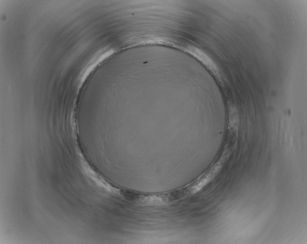 X0000076250806200610191647