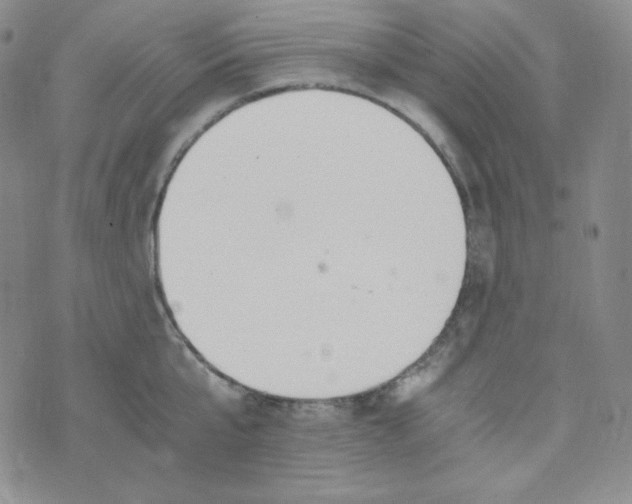 X0000076250807200610191647