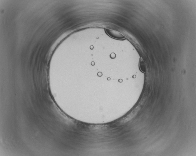 X0000076250808200610191647