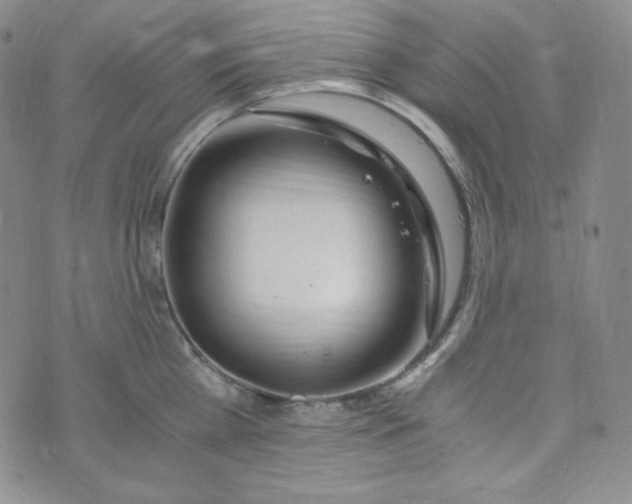 X0000076250809200610191647