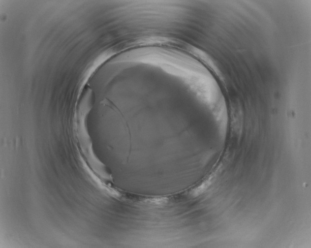 X0000076250810200610191647