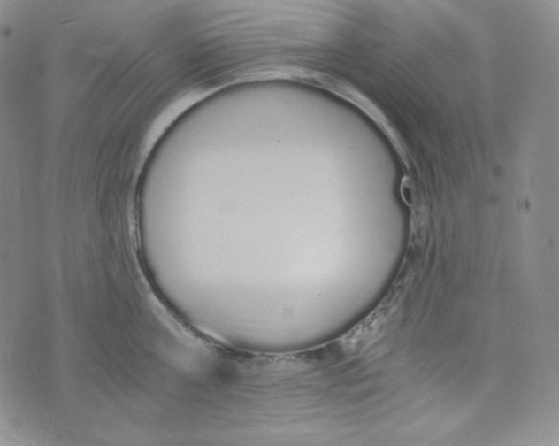 X0000076250811200610191647