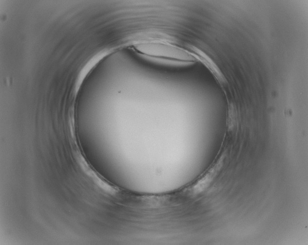 X0000076250812200610191647