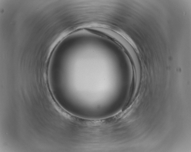 X0000076250813200610191647