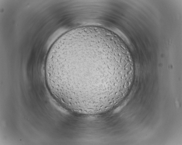 X0000076250814200610191647