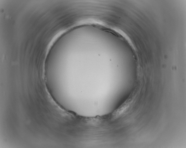 X0000076250815200610191647