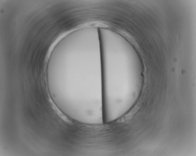 X0000076250816200610191647