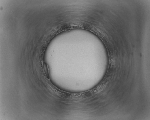 X0000076250817200610191646