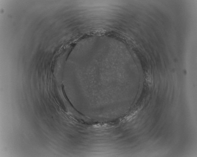 X0000076250818200610191646