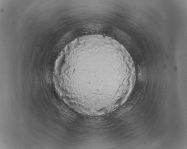 X0000076250819200610191646