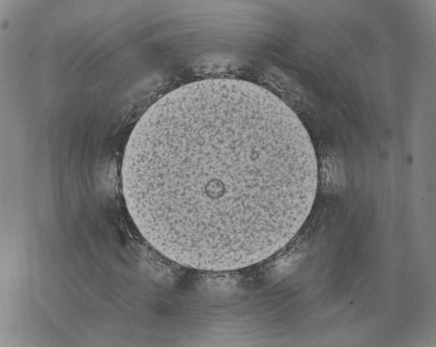 X0000076250820200610191646