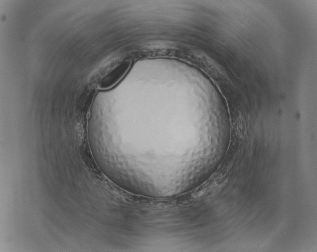 X0000076250821200610191646