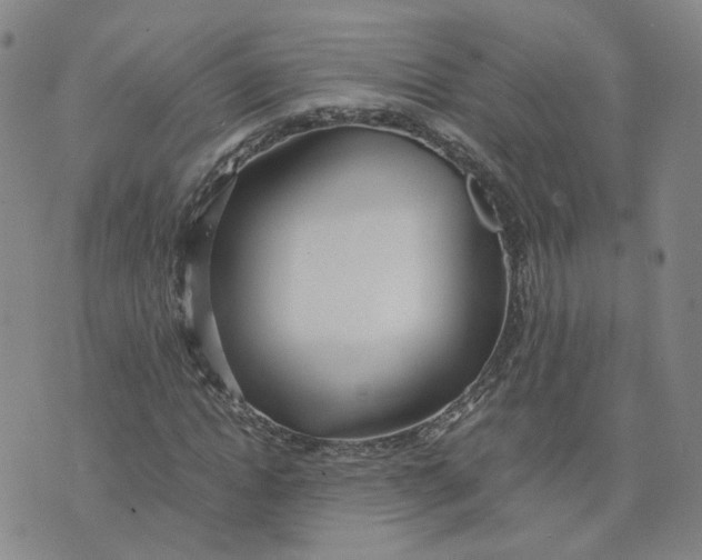 X0000076250822200610191646