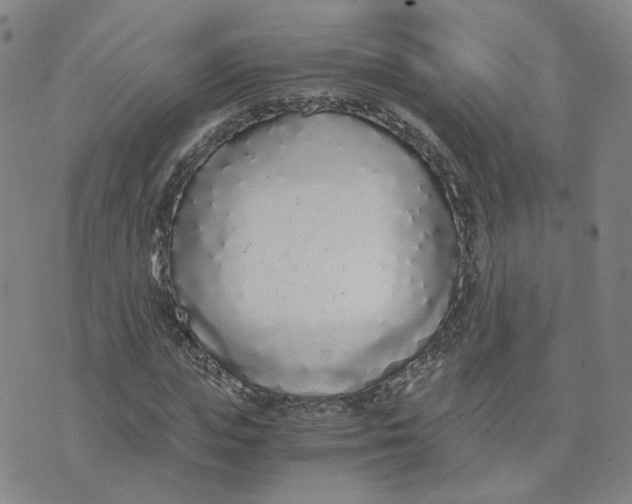 X0000076250823200610191646