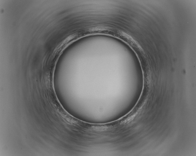 X0000076250825200610191646