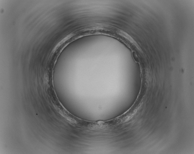 X0000076250826200610191646