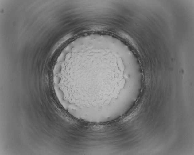 X0000076250827200610191646