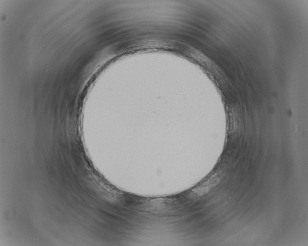 X0000076250828200610191646