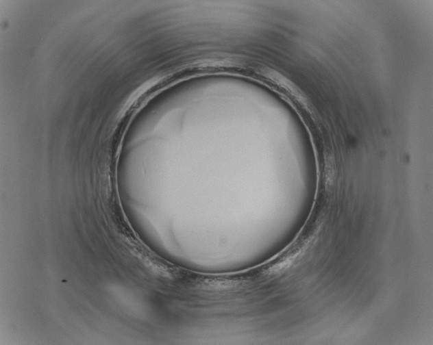 X0000076250829200610191646