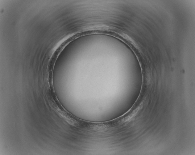 X0000076250830200610191646