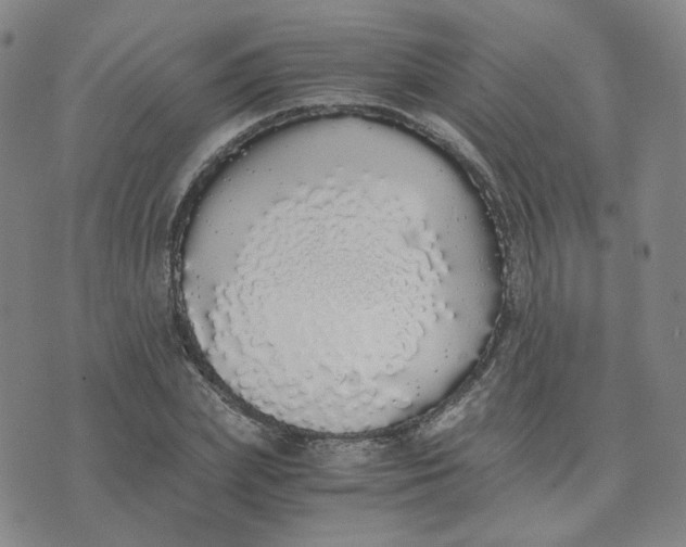 X0000076250831200610191646