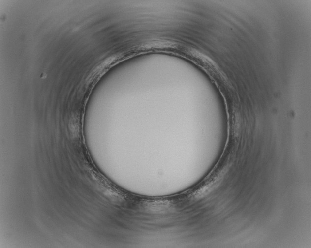 X0000076250833200610191647