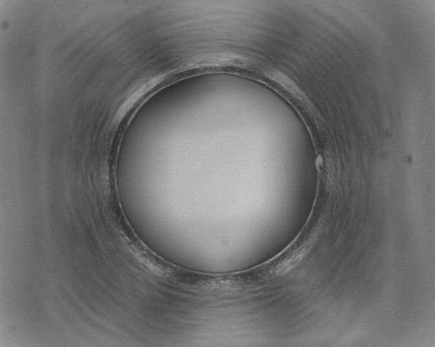 X0000076250834200610191647