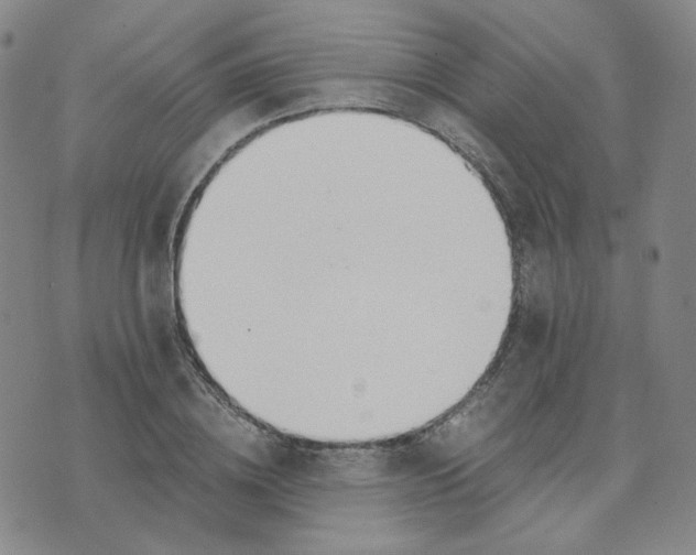 X0000076250836200610191647