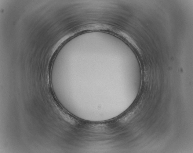 X0000076250837200610191647