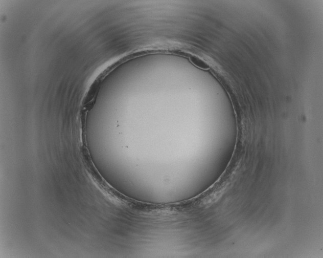 X0000076250838200610191647