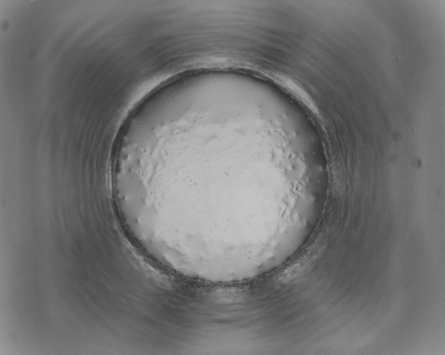 X0000076250839200610191647