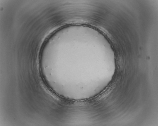 X0000076250840200610191647