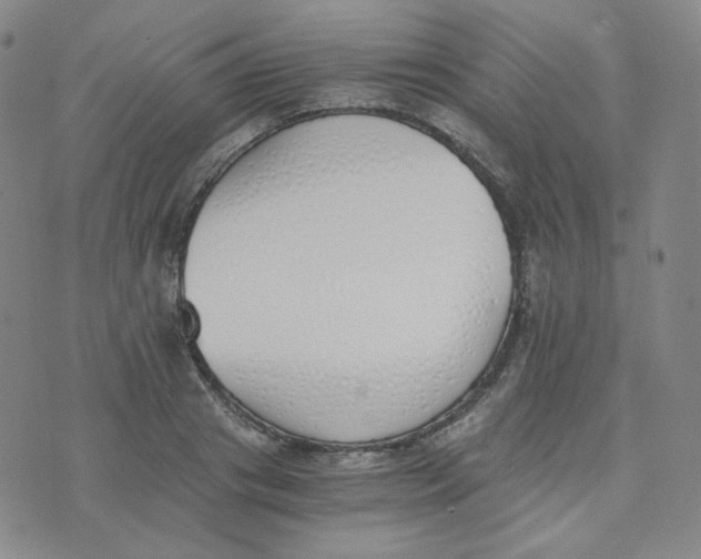 X0000076250841200610191647