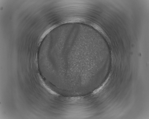 X0000076250842200610191647