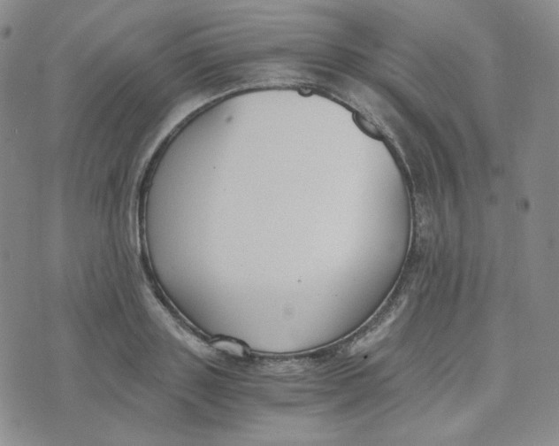 X0000076250843200610191647