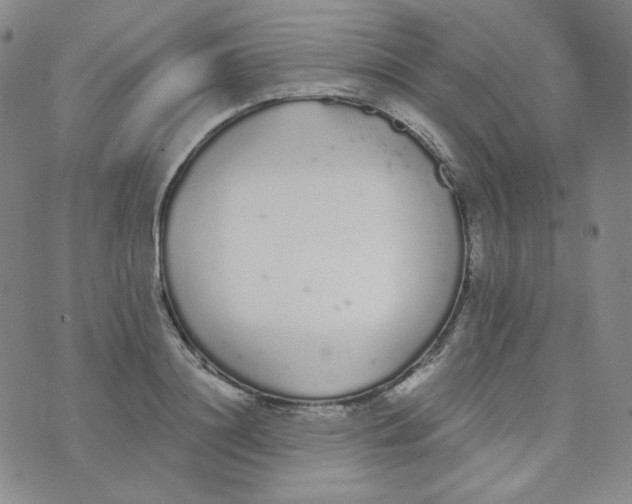 X0000076250844200610191647