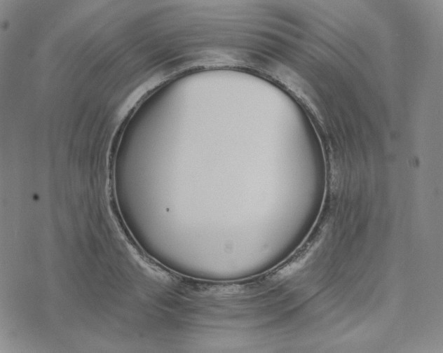 X0000076250845200610191647