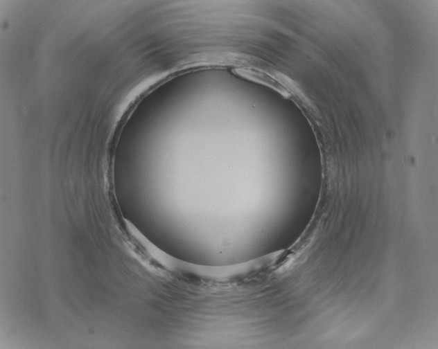 X0000076250846200610191647