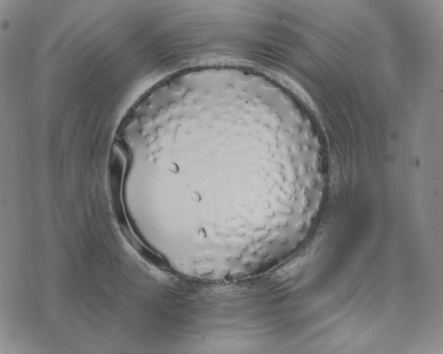 X0000076250847200610191647