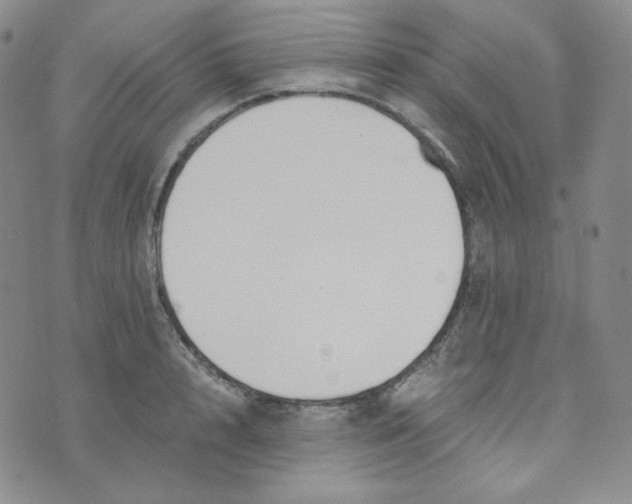 X0000076250848200610191647