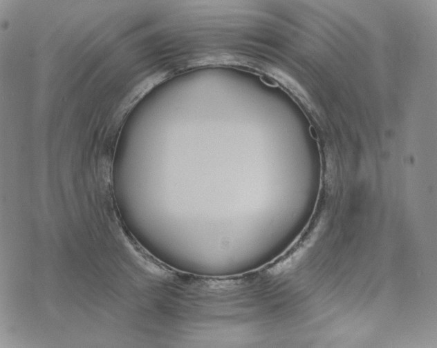 X0000076250849200610191647