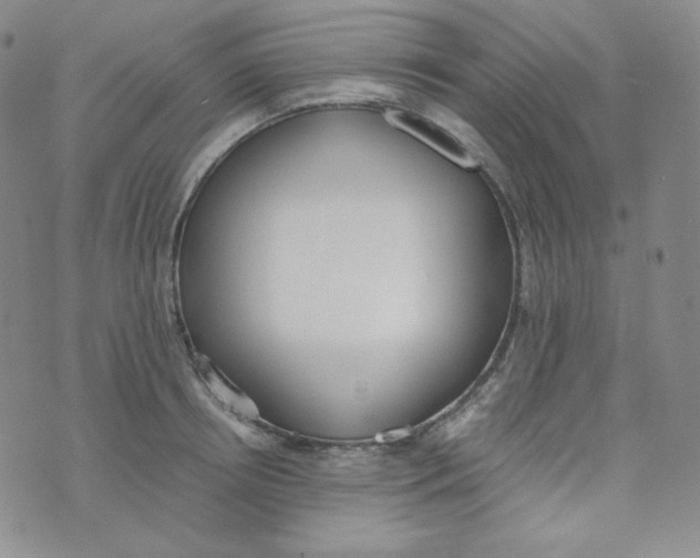 X0000076250850200610191647