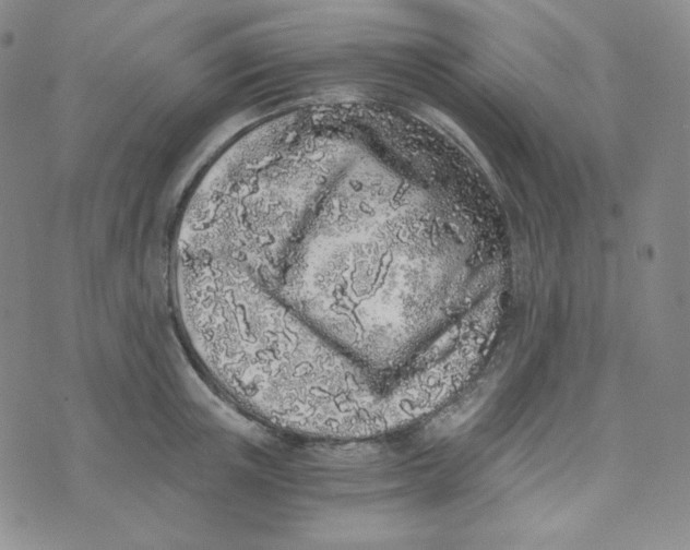 X0000076250851200610191647