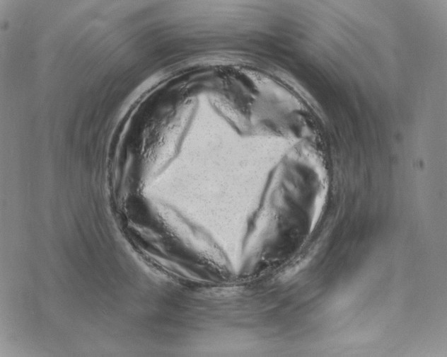 X0000076250853200610191647